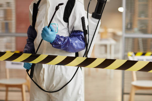 Professional Sewage Cleanup technician working in Alamo, NV